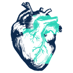 Cardiologist