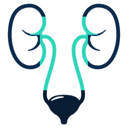 Urology